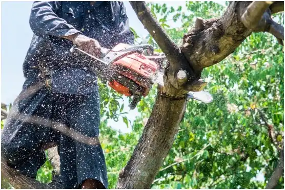 tree services Fieldale